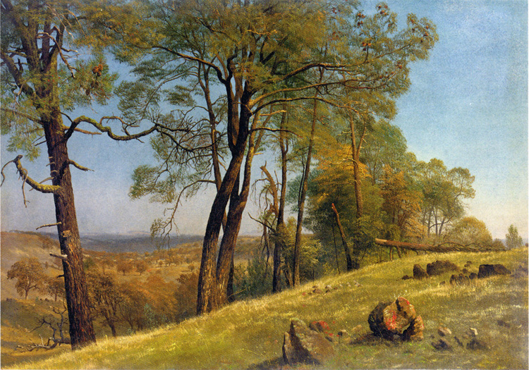 Albert Oil Painting Landscape, Rockland County, California